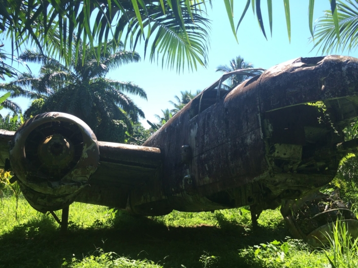 B25 World War 2 Plane - In the Jungle, Papua New Guinea