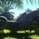 B25 World War 2 Plane - In the Jungle, Papua New Guinea