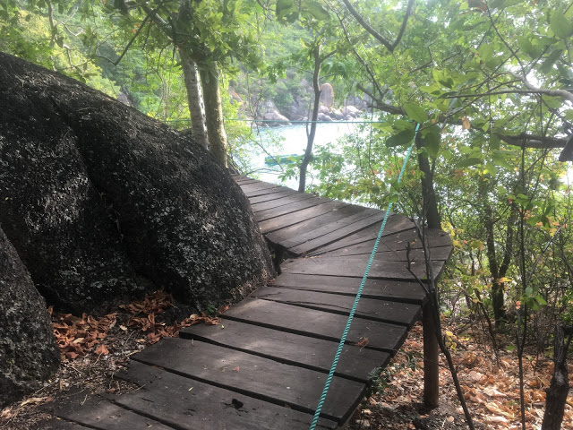 One of the many slatted wooden walkways on Mumbo Island