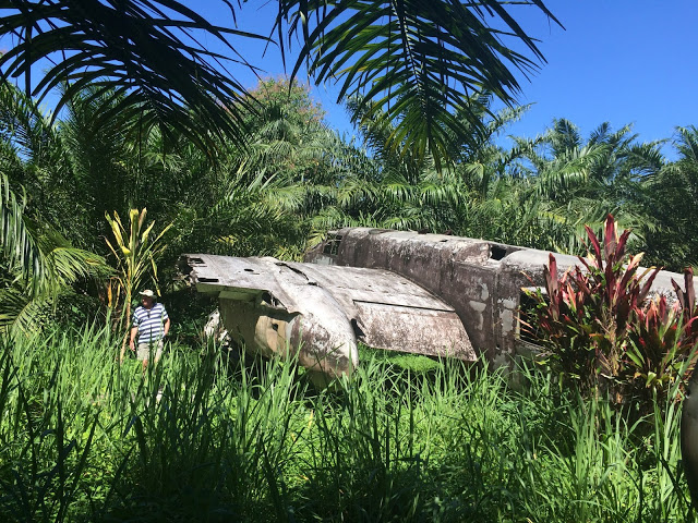 The B-25H is surrounded by jungle