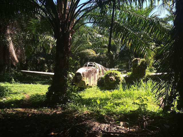 The Lockheed Venura, complete with vines growing on its wing - Kimbe Bay